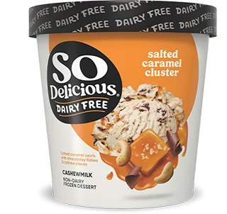 Salted Caramel Cluster Cashewmilk Frozen Dessert
