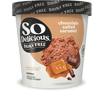Chocolate Salted Caramel Oatmilk Frozen Dessert