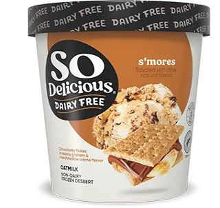 S'mores Oatmilk Frozen Dessert