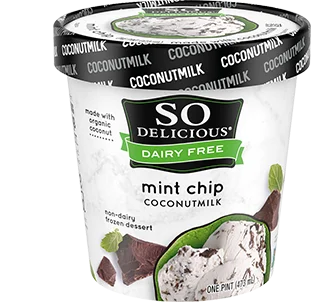 Mint Chip Coconutmilk Frozen Dessert