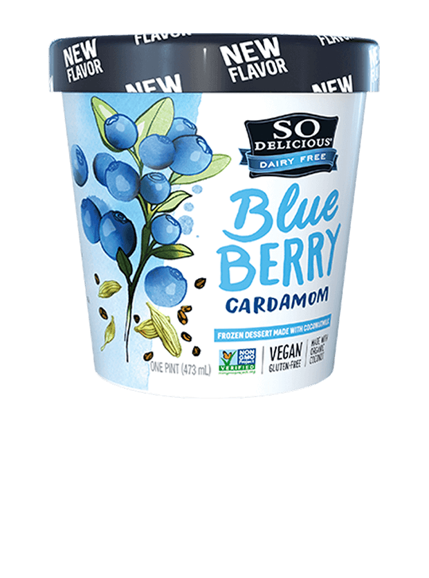 Blueberry Cardamom Coconutmilk Frozen Dessert