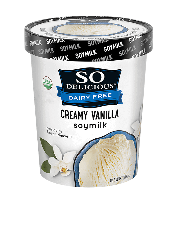 Homemade Non-Dairy Vanilla Ice Cream (Lactose-free Ice Cream