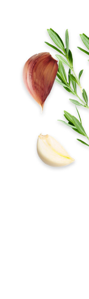 Smashed Garlic Potatoes Yogurt Harissa Topping