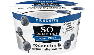 Blueberry Coconutmilk Yogurt