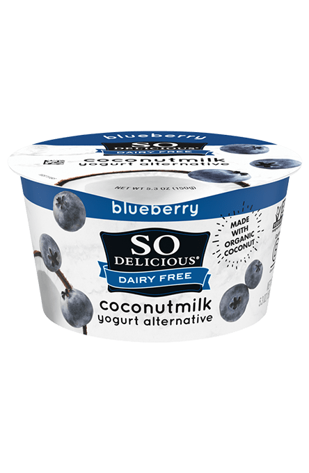 Blueberry Coconutmilk Yogurt