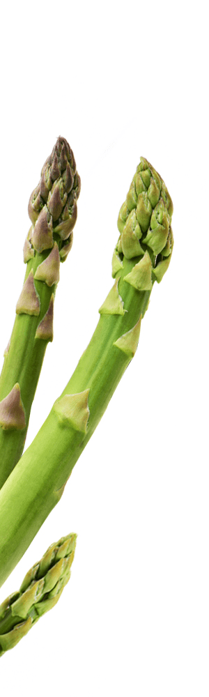 Vegan Asparagus Quiche