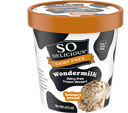 Wondermilk Frozen Desserts | So Delicious Dairy Free