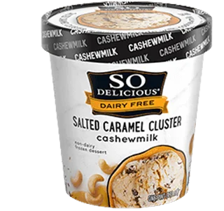 Salted Caramel Cluster Cashewmilk Frozen Dessert