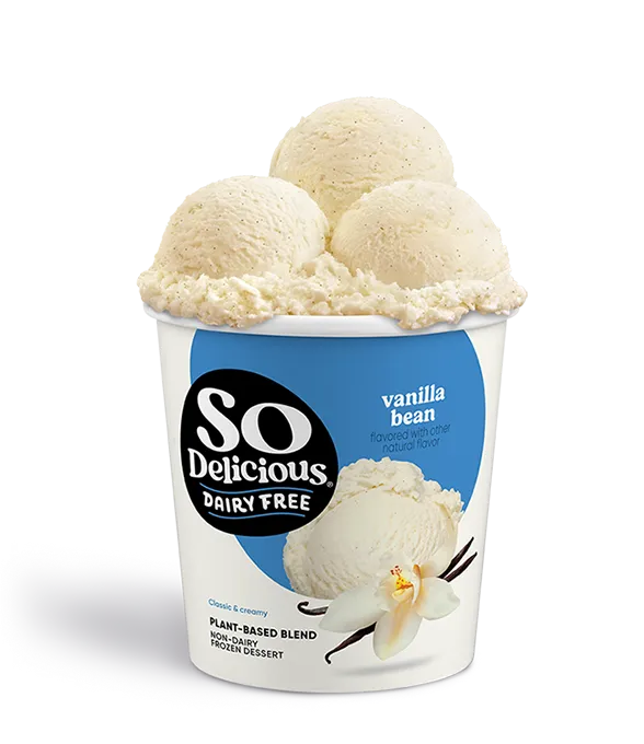 Vanilla Plant-based Blend Frozen Dessert Pint