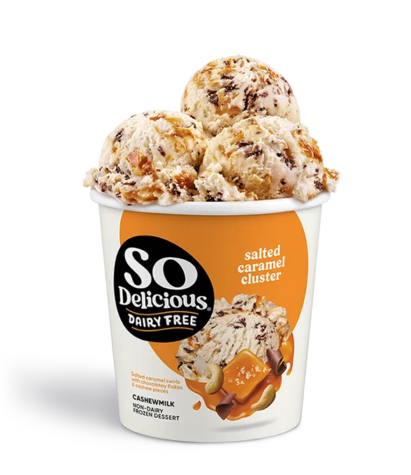 Salted Caramel Cluster Cashewmilk Frozen Dessert