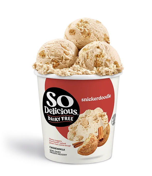 Snickerdoodle Cashewmilk Frozen Dessert | So Delicious Dairy Free